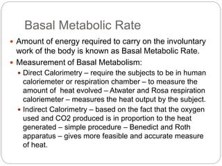 Factors Affecting Basal Metabolic Rate.ppt