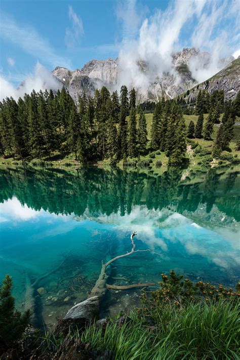 Lake Shore Trees Mountains Reflection HD Phone Wallpaper Peakpx