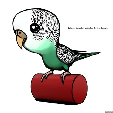 Parakeet Drawing Free Download On Clipartmag