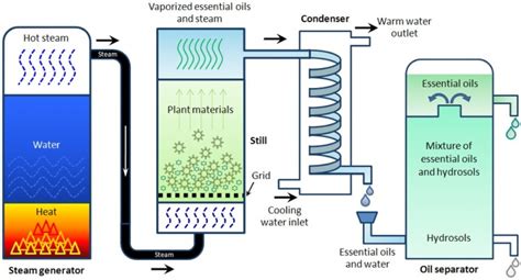 Methods Of Producing Essential Oils And Thier Practices