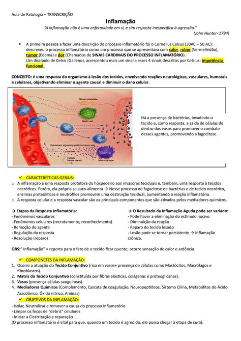 Inflama O I Anota Es De Aulas De Patologia Assuntos