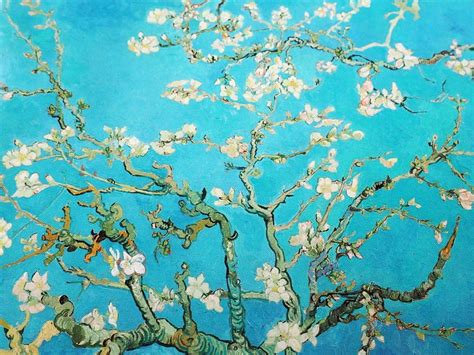 Van Gogh A Kelimenin Tam Anlam Yla Dokunmak Van Gogh Almond Blossoms