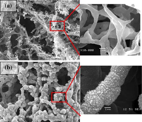 Sem Micrographs Of The Structures Synthesized From Rice Husks By 1300