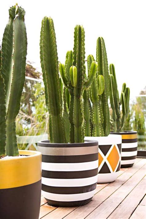 Vaso Grande 80 Modelos Para Decorar Sua Sala E Jardim Vasos Grandes