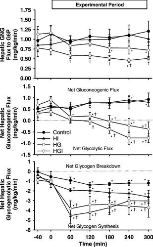 Effects Of Hyperglycemia On Hepatic Gluconeogenic Flux During Glycogen