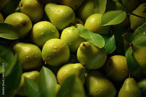 Pears Large Group Background Italian Cultivar Of Green Pear Pera