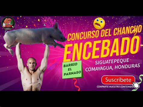 CHANCHO ENCEBADO FIESTA PARNASEÑA 2024 YouTube