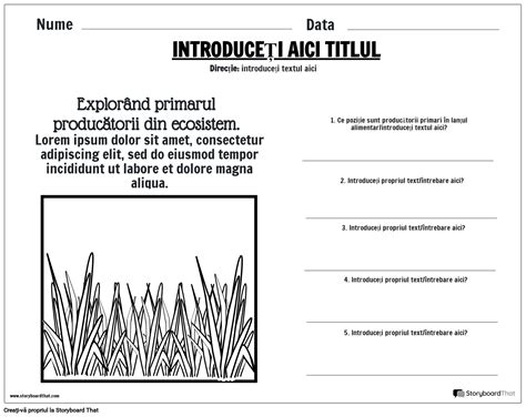 Fi A De Lucru Pentru Ecosistem Storyboard Par Ro Examples