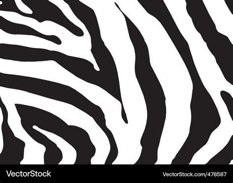 Zebra print Royalty Free Vector Image - VectorStock