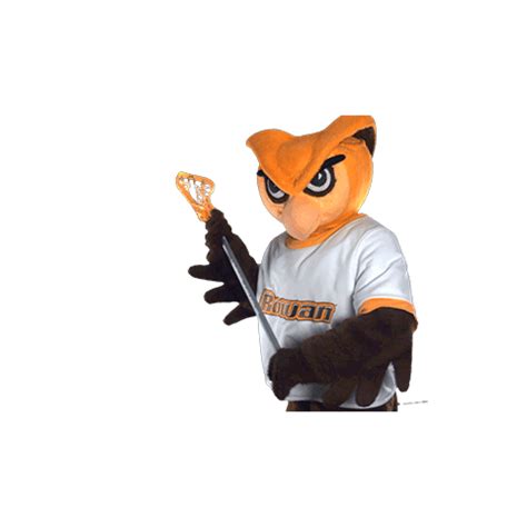 Ncaa Mascot Sticker by Rowan University for iOS & Android | GIPHY