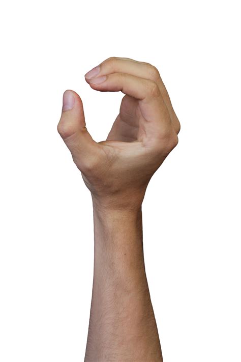 Human Hands Grip Side Gestures Realistic Transparent Images Png