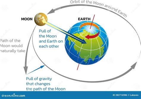 Earth And Moon Gravity Stock Vector Illustration Of Mass 282716986