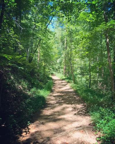 2023 Best 10 Waterfall Trails in Cherokee National Forest | AllTrails