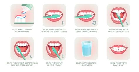 Effective Brushing Techniques For Optimal Oral Health V Dental Hospital