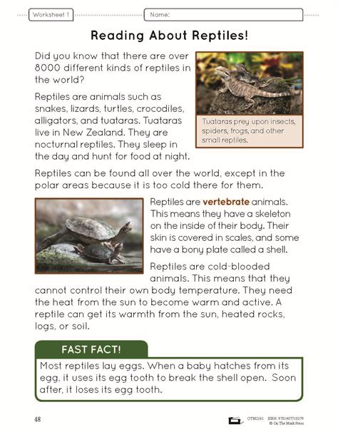 Reptiles And Amphibians E Lesson Plan Grade 2