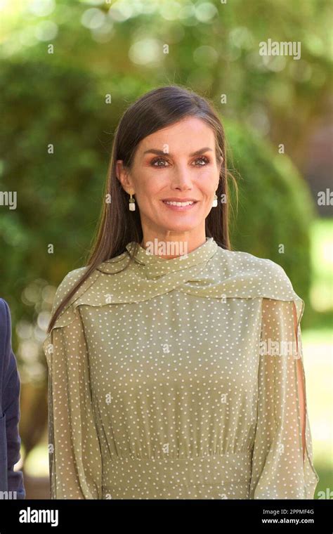 La Reine Letizia D Espagne Assiste La C R Monie De Remise Des Prix