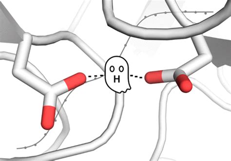 Catalytic Site Pka Values Of Aspartic Cysteine And Serine Proteases