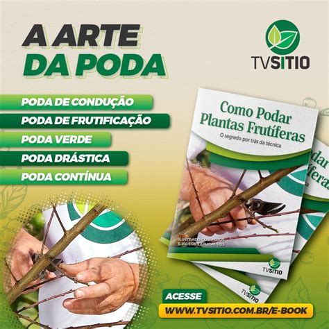 Tabela De Poda De Rvores Frut Feras Retoedu