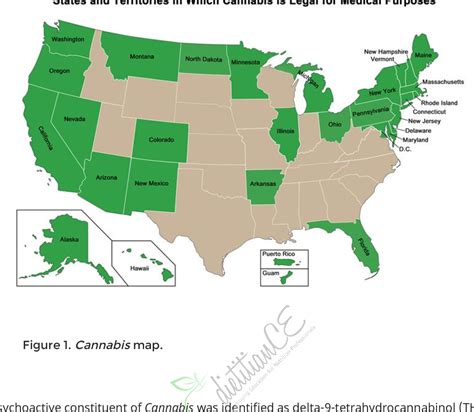 Figure From An Overview Of Cannabis And Cannabinoids In Cancer