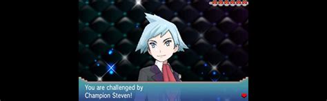 Trainer Spotlight Steven Stone