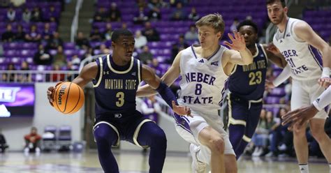 Montana State men's basketball stumbles on road versus Big Sky foe Weber State