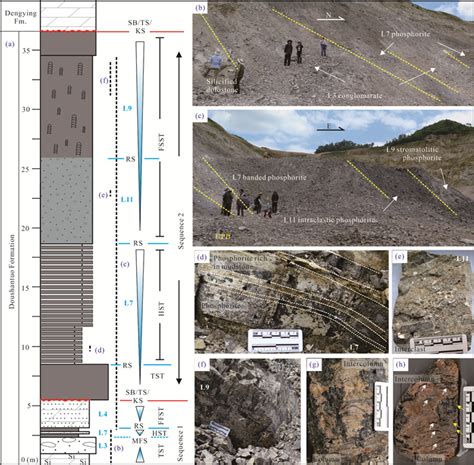 Integrated Stratigraphy And Mineralogy Of The Doushantuo Formation In