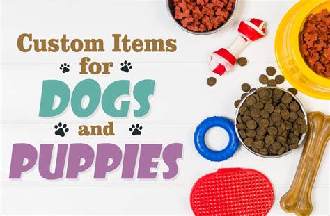 Product Ideas For Dogs And Puppies 24hourwristbands Blog