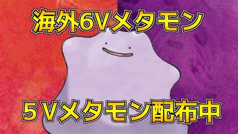 ポケモンsv 海外6vメタモン、5vメタモンaぬけ、cぬけ、 育成済みポケモン配布中 Youtube