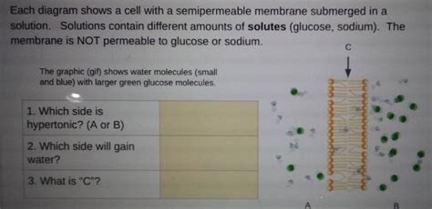 Solved: Each diagram shows a cell with a semipermeable membrane ...