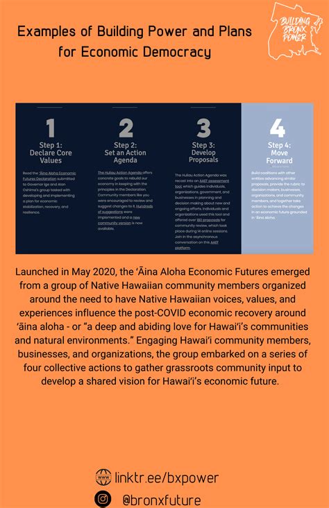 What is Economic Democracy? — The Bronx Cooperative Development Initiative