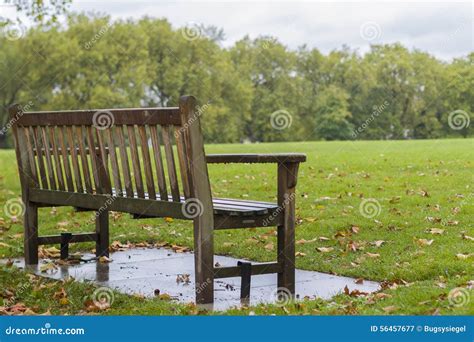 Lonely Bench In A Park Stock Image Image Of Grey Park 56457677