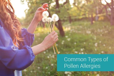 What Are The Different Types Of Pollen Allergies Tottori Allergy And Asthma Associates