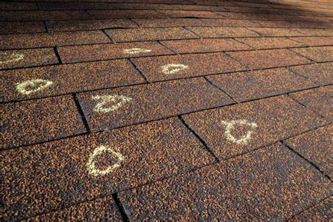 Are Roof Stains A Problem The Roof Doctor