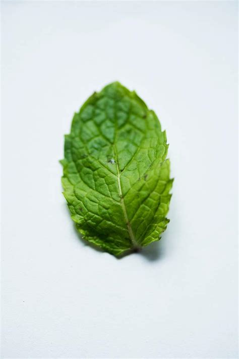 royalty  mint stock  rawpixel