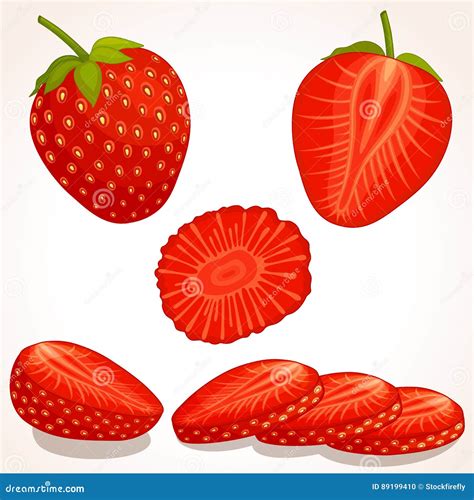 Vector Strawberry Sliced Whole Half Strawberry Stock Vector