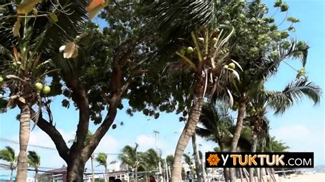 Asian Teen Cuties On The Beach Picked Up For Amateur POV Sex