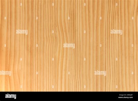 Pine Wood Board With Many Veins Vector Wood Texture Background Stock