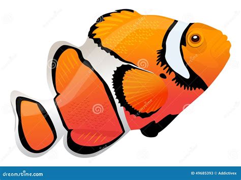 Clown Fish Stock Vector Illustration Of Fishy Clown 49685393