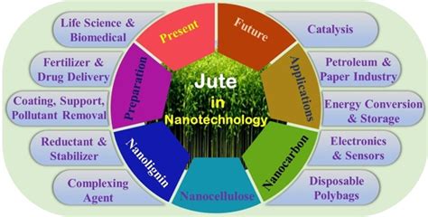 Jute in Nanotechnology Applications - ChemistryViews