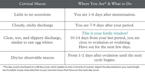 Cervical Fluid Chart