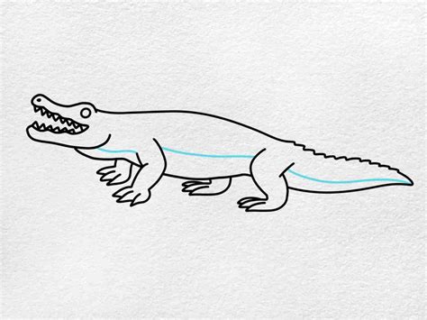 How To Draw An Alligator Helloartsy