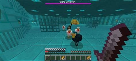 Chicken Dungeons For Minecraft Pocket Edition