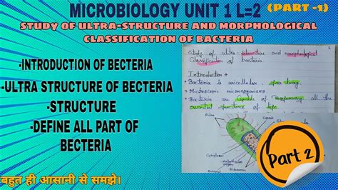 Ultra Structure Of Bacteria External Structure Of Bacteria Cell Youtube