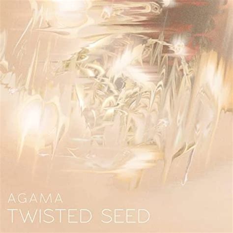 Agaama Twisted Seed Lyrics Genius Lyrics