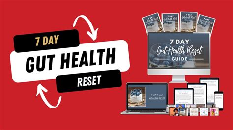 Done For You 7 Day Gut Health Reset Opt In Freebie For Health Coaches