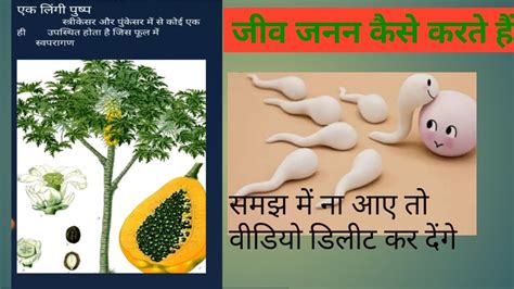 How Do Organisms Reproduce जीव जनन कैसे करते है Jeev Janan Kaise Karte