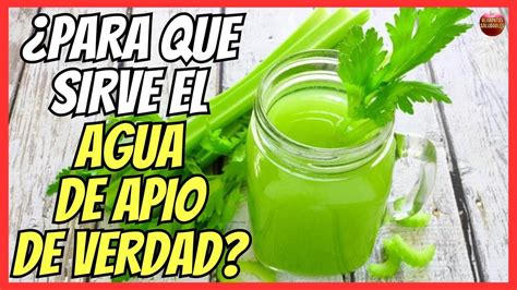 PARA QUÉ SIRVE EL AGUA DE APIO EN RAMA BENEFICIOS PARA EL HOMBRE