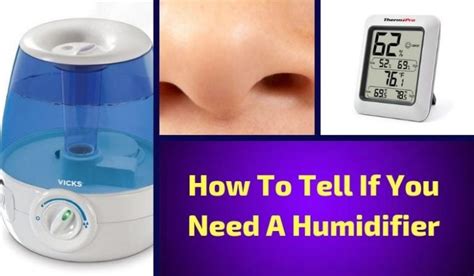 How To Tell If You Need A Humidifier A Helpful Guide