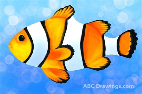 How to Draw a Clownfish | Easy Step-by-Step Art Activity & Video Tutorial for Kids