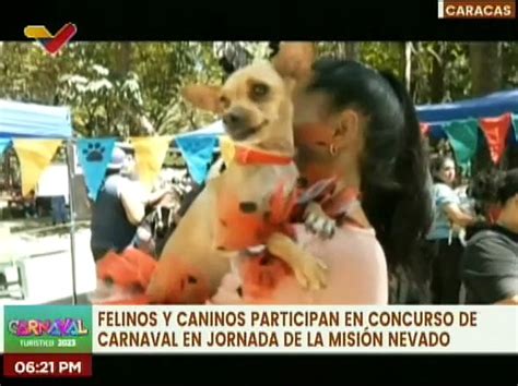 Misi N Nevado Realiza Concurso De Disfraces Para Felinos Y Caninos En